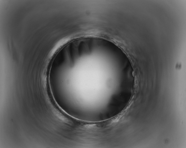 X0000101170054200807111101