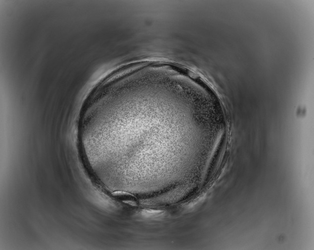 X0000101170055200807111101