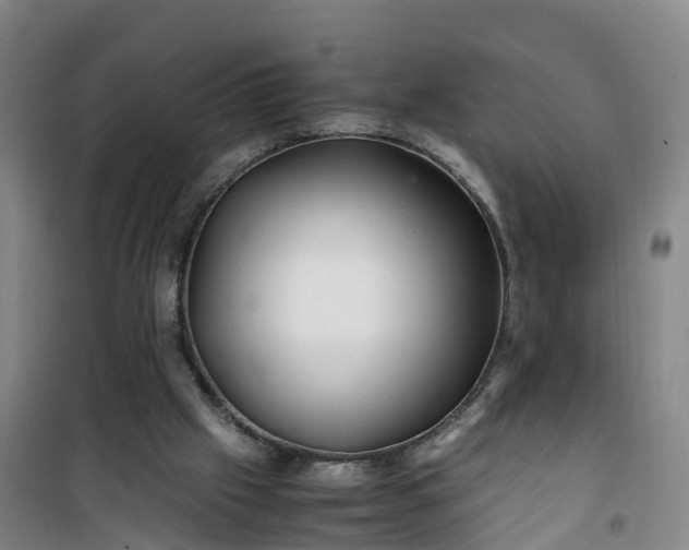 X0000101170057200807111101