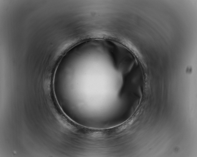 X0000101170058200807111101