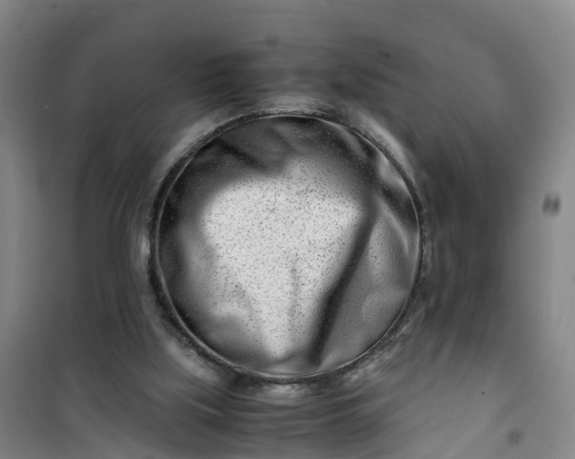 X0000101170059200807111102