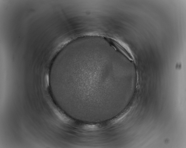 X0000101170061200807111102