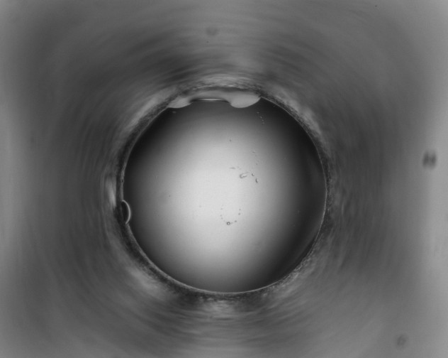 X0000101170062200807111102