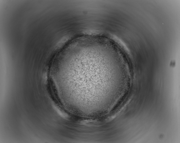 X0000101170065200807111102
