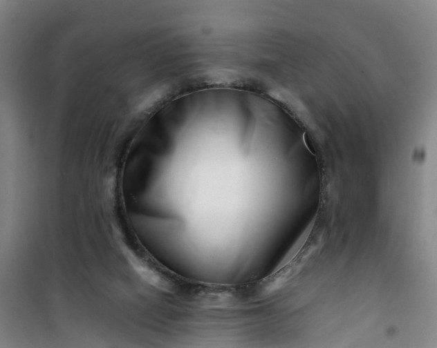 X0000101170066200807111102