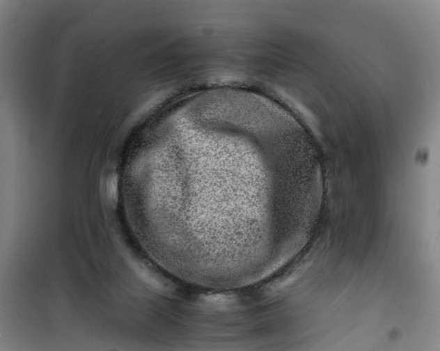 X0000101170067200807111102