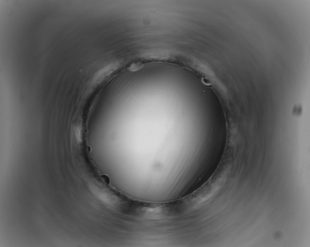 X0000101170068200807111102