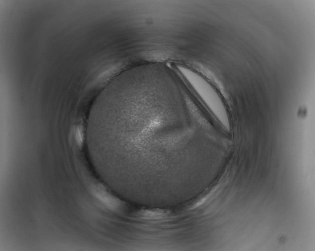 X0000101170069200807111102