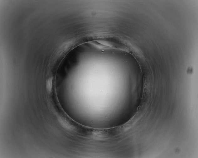 X0000101170070200807111102