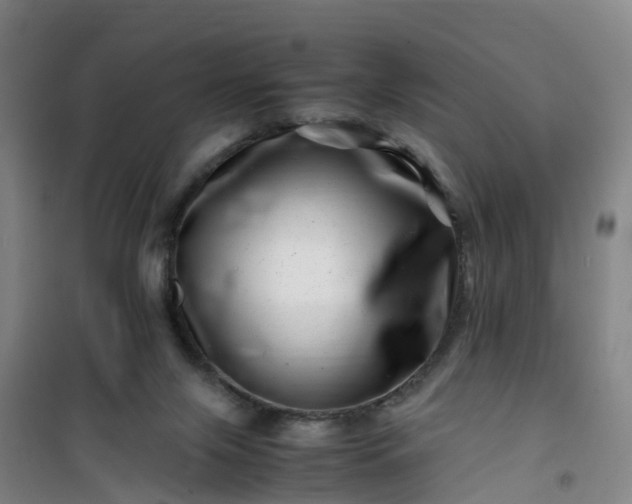 X0000101170071200807111102