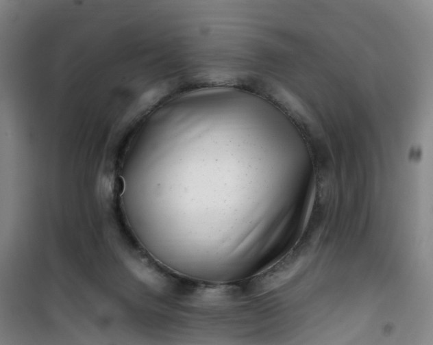 X0000101170072200807111102
