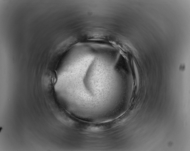 X0000101170073200807111102