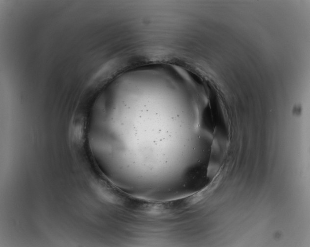 X0000101170074200807111102