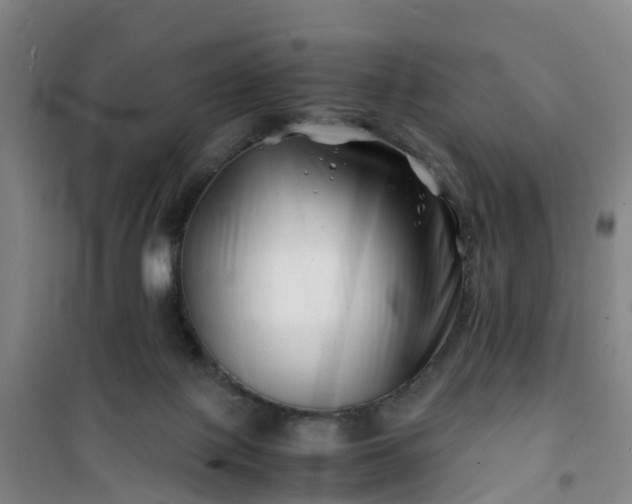 X0000101170075200807111102