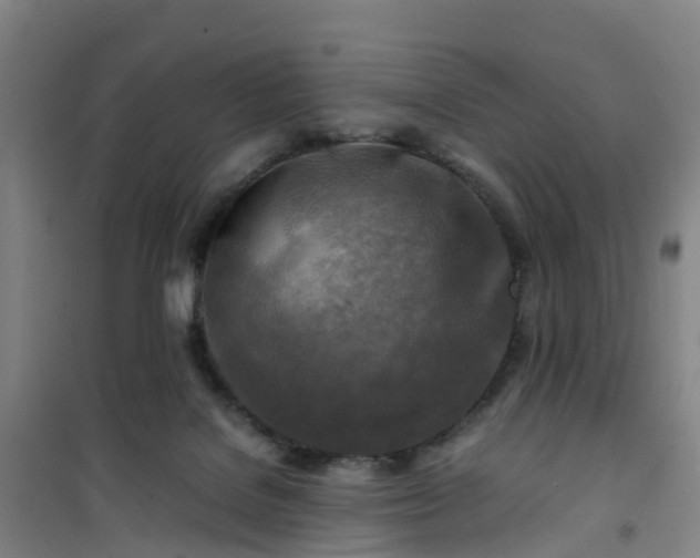 X0000101170076200807111102