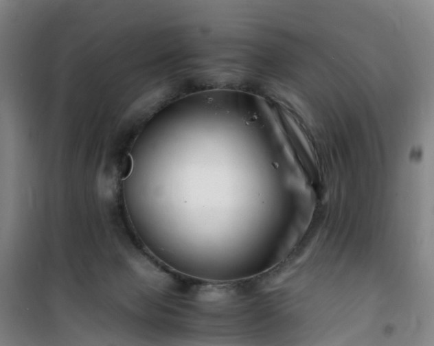 X0000101170077200807111102