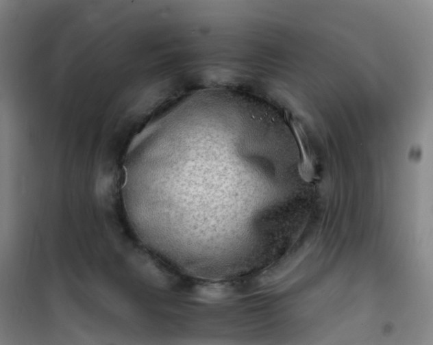X0000101170079200807111102