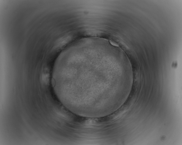 X0000101170080200807111102