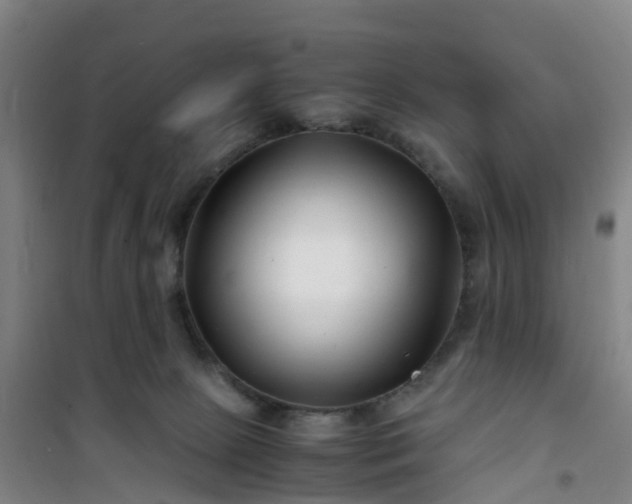 X0000101170081200807111102