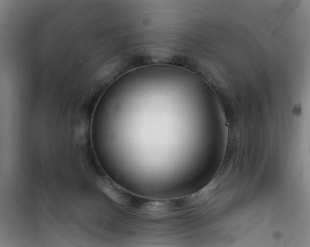 X0000101170082200807111102