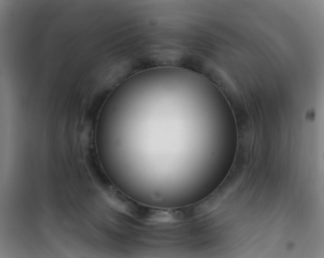 X0000101170083200807111102