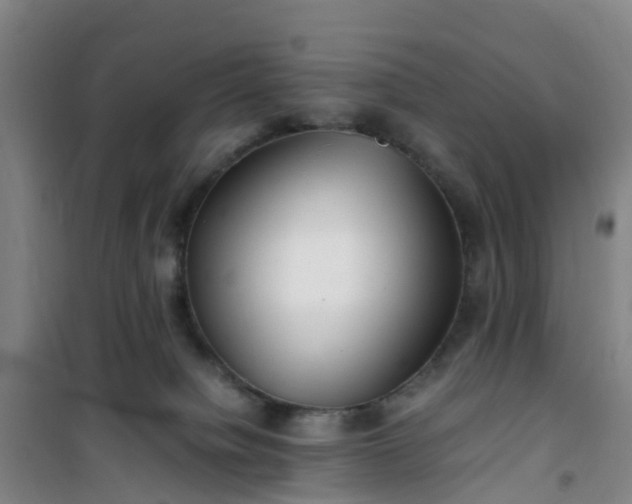 X0000101170084200807111102