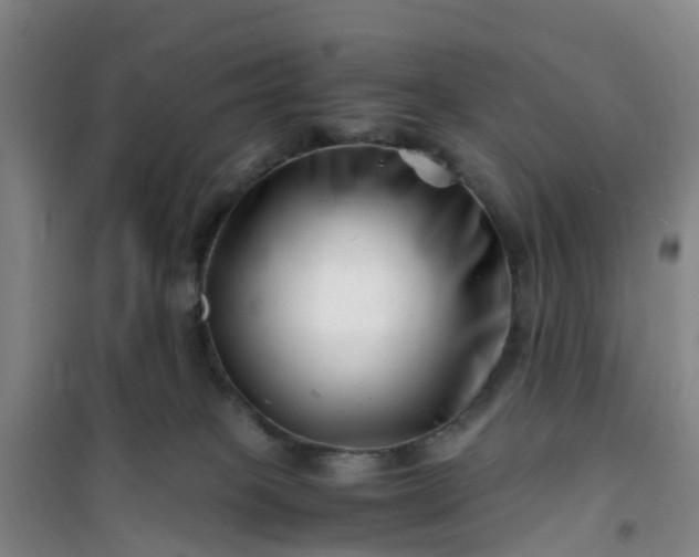 X0000101170085200807111102