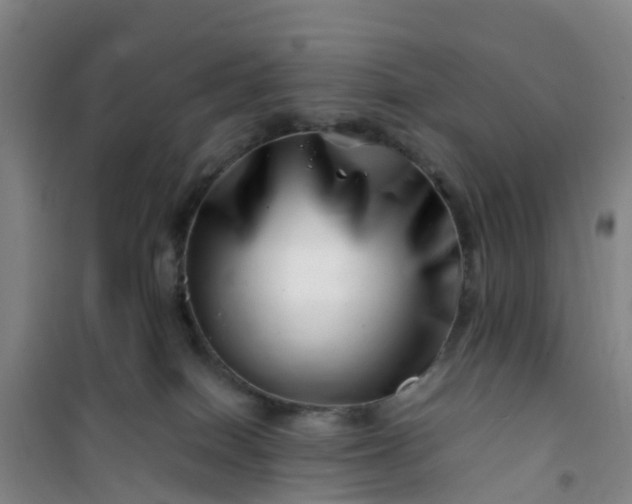 X0000101170086200807111102