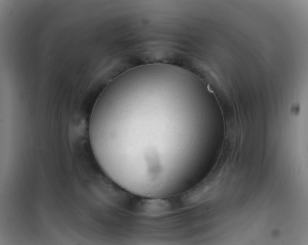 X0000101170087200807111102