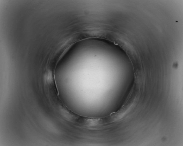 X0000101170089200807111102