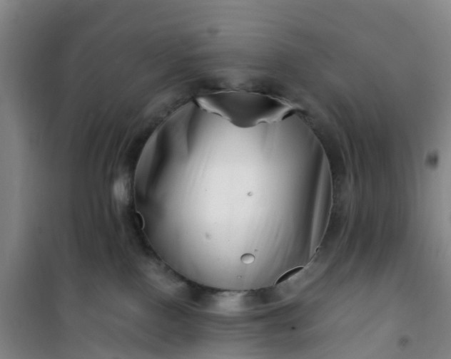 X0000101170090200807111102