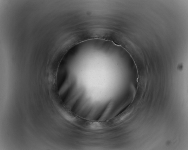 X0000101170091200807111102