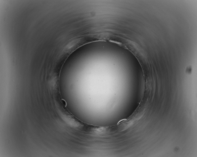 X0000101170092200807111102