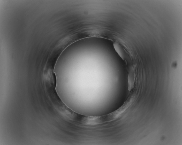 X0000101170093200807111102