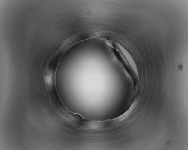 X0000101170094200807111102