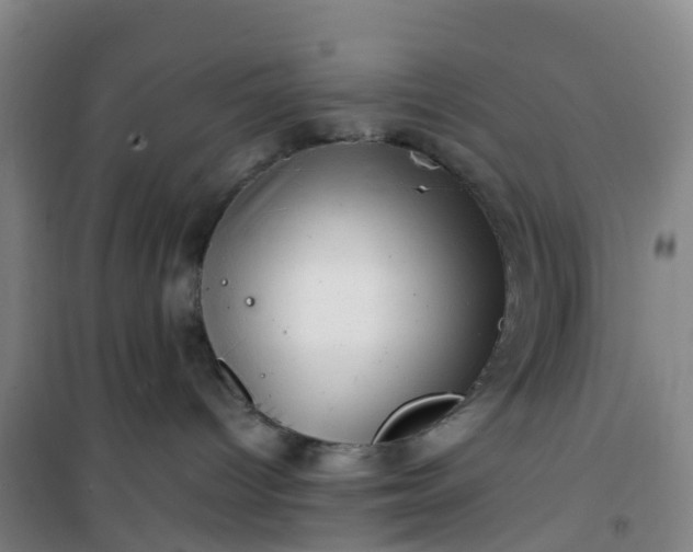 X0000101170096200807111102