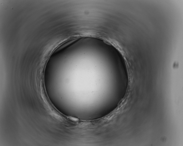 X0000101170097200807111101