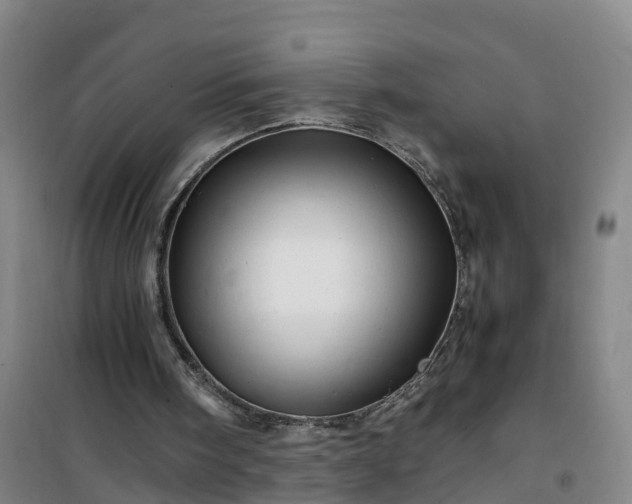 X0000101170098200807111101