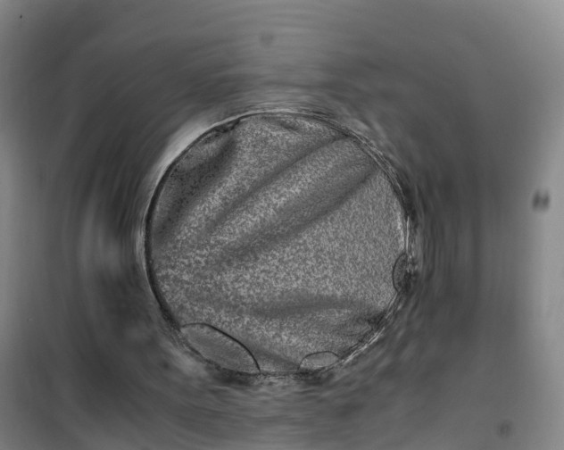 X0000101170099200807111101