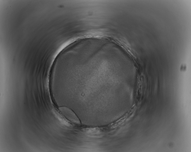 X0000101170100200807111101