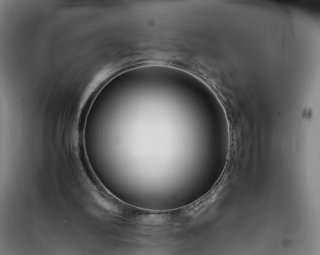 X0000101170102200807111101
