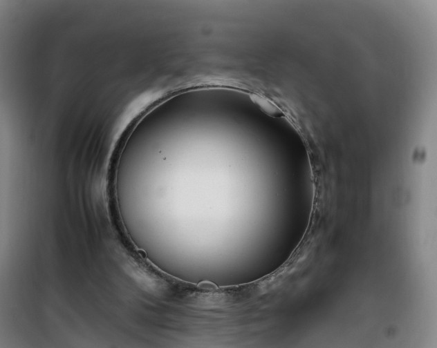 X0000101170104200807111101
