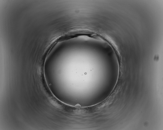 X0000101170105200807111101