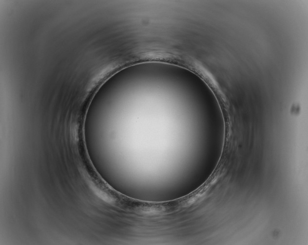 X0000101170106200807111101