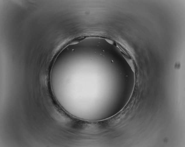 X0000101170107200807111101