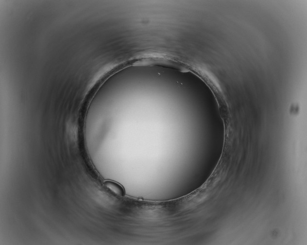 X0000101170108200807111101
