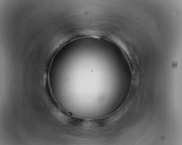 X0000101170109200807111101