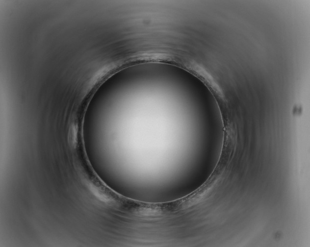 X0000101170110200807111101