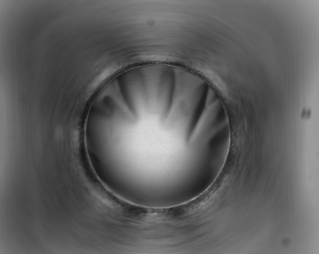 X0000101170111200807111101