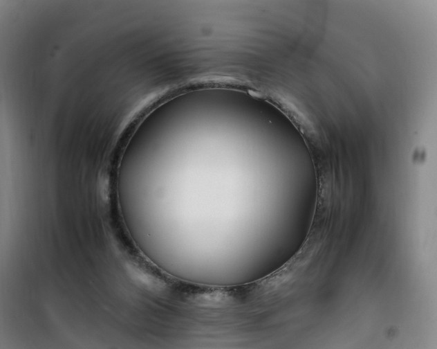 X0000101170112200807111101
